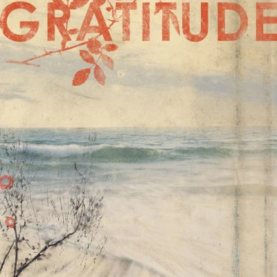 歌手 Gratitude