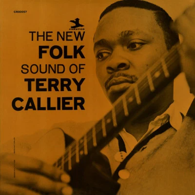 歌手 Terry Callier