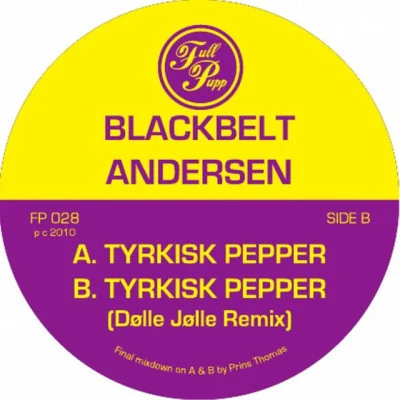 歌手 Blackbelt Andersen