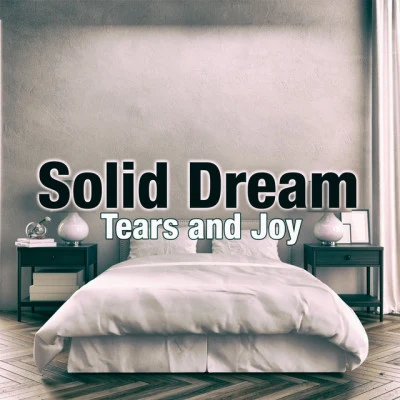 歌手 Solid Dream