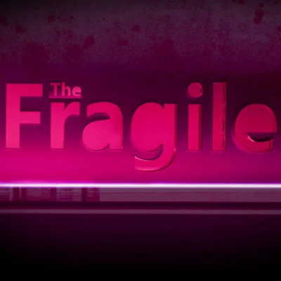 歌手 The Fragile