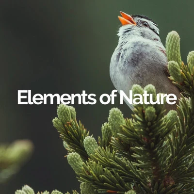 Elements of Nature Ocean Sounds