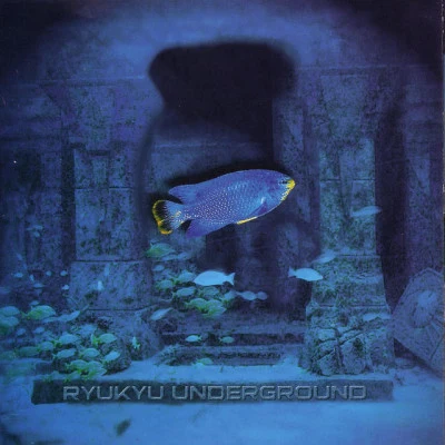 歌手 Ryukyu Underground