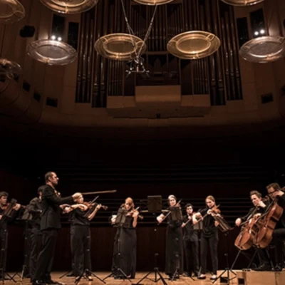 歌手 Australian Chamber Orchestra