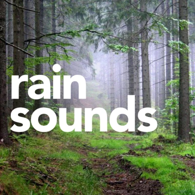 歌手 Rain Sounds