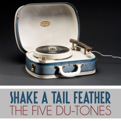 歌手 The Five Du-Tones